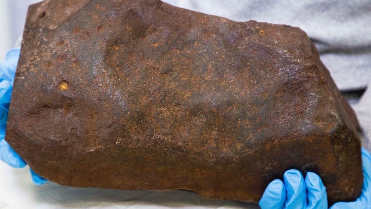 man keeps rock for years, hoping it's gold. it turned out to be way more valuable